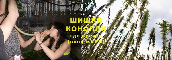прущая мука Карпинск