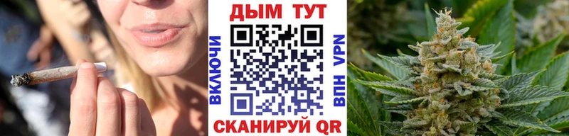 Бошки марихуана тримм  Купить закладки  Заводоуковск 